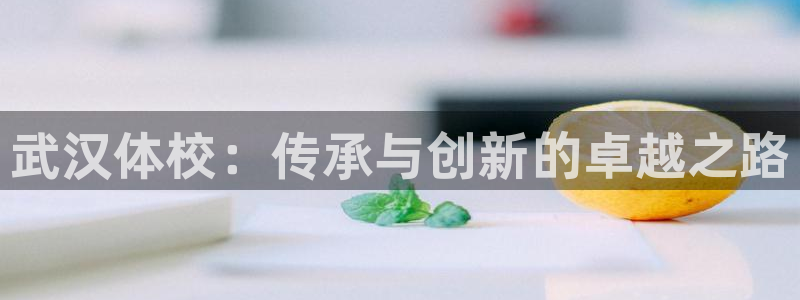 欧亿体育官方正版app官网:武汉体校:传承与创新的卓越之路