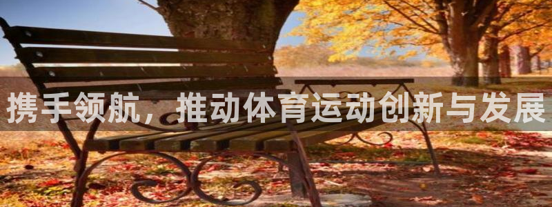 oety欧亿体育官网下载开户:携手领航,推动体育运动创新与发