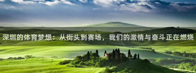 oety欧亿体育官网下载平台注册流程视频:深圳的体育梦想:从